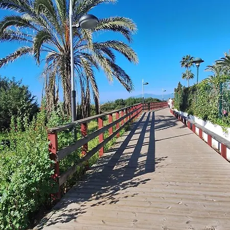 Mediterranean Life